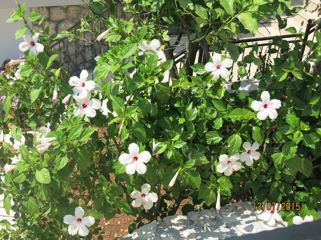 Kulube 2* Kalkan