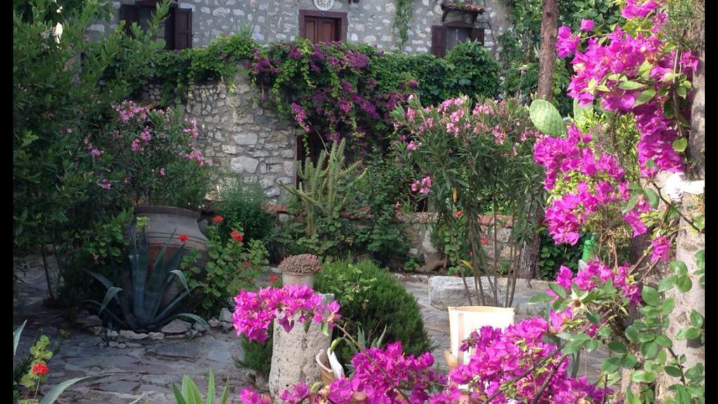 Medusa House Butik * Didim