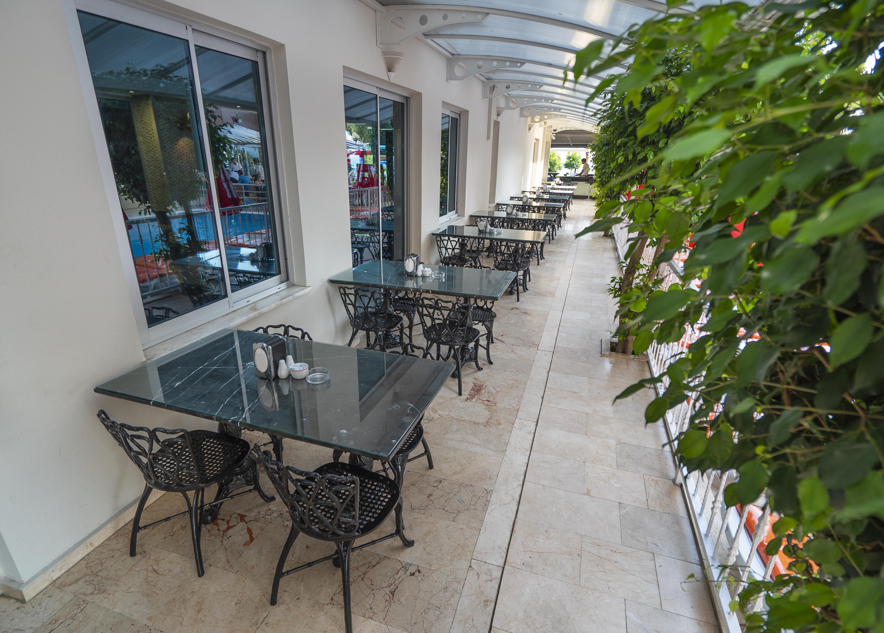 Hotel Kleopatra Celine 3*