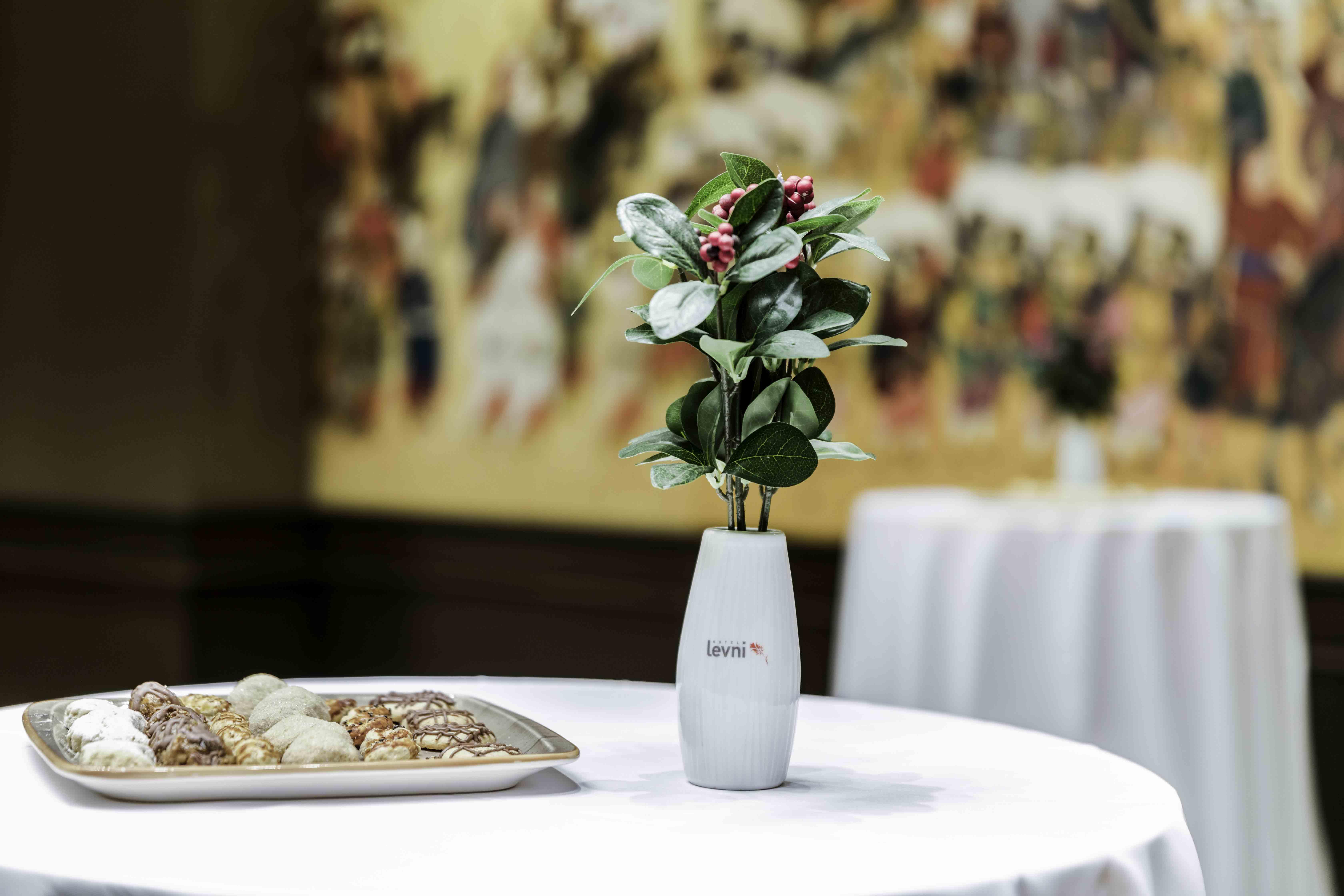 Hotel Levni & Spa - Special Category 5*