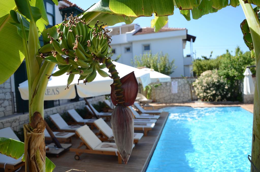 Bed & Breakfast Boreas (adults Only) Alacati