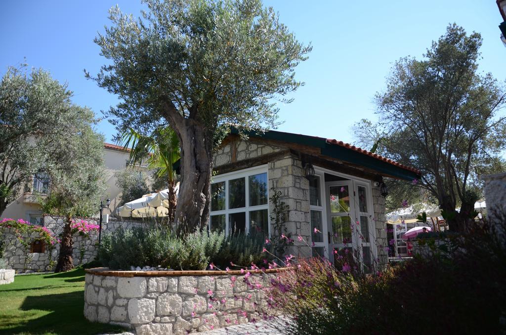 Boreas (adults Only) 3* Alacati