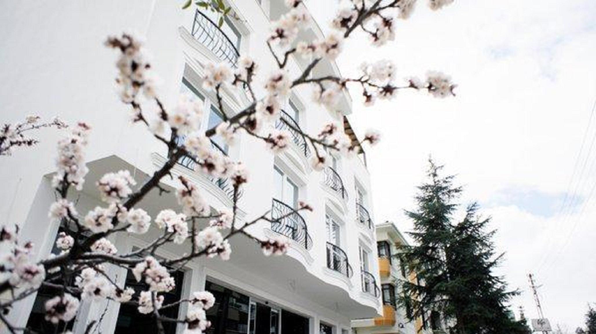 Koza Hotel 4*