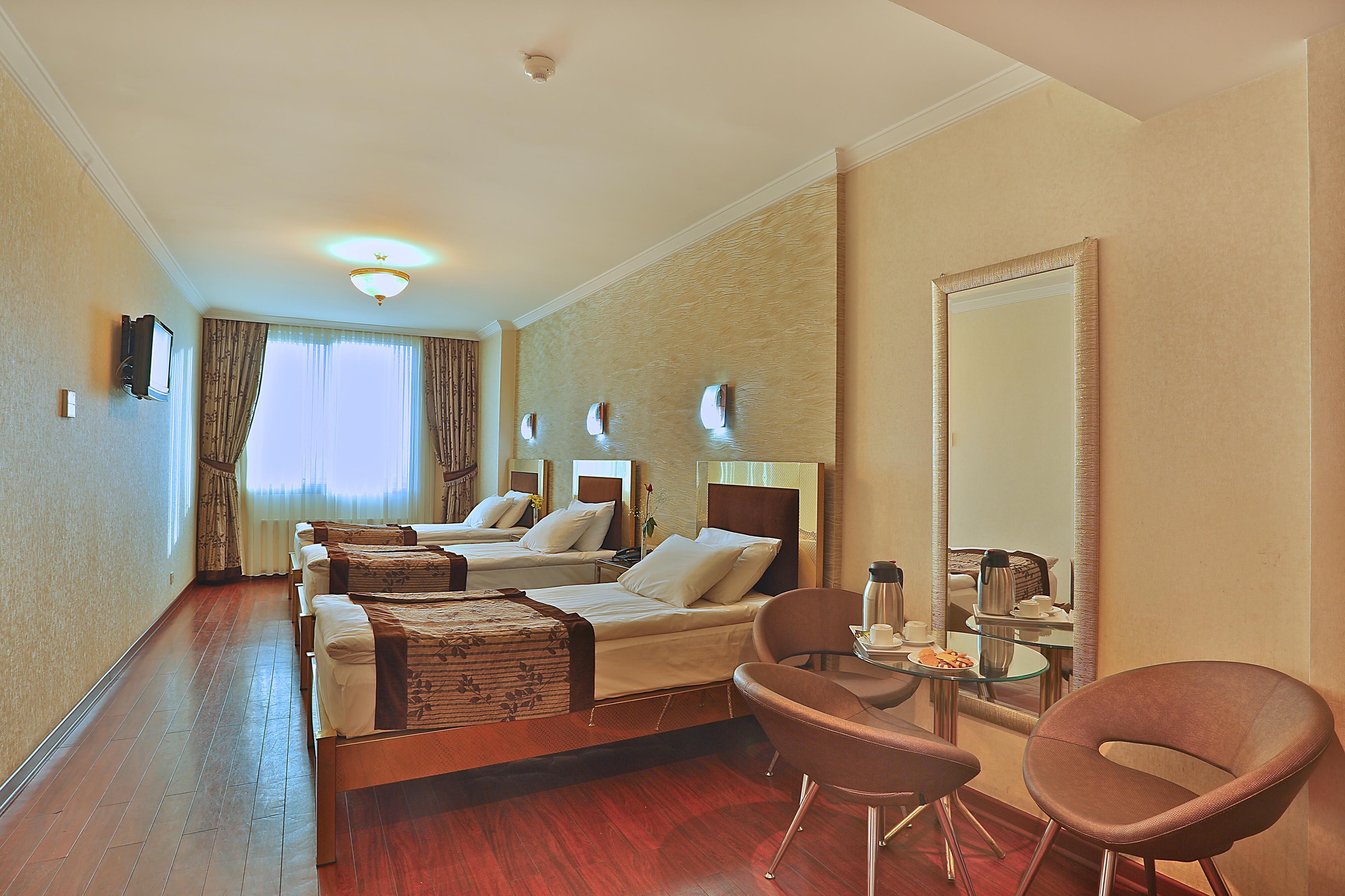 Hotel Grand Madrid
