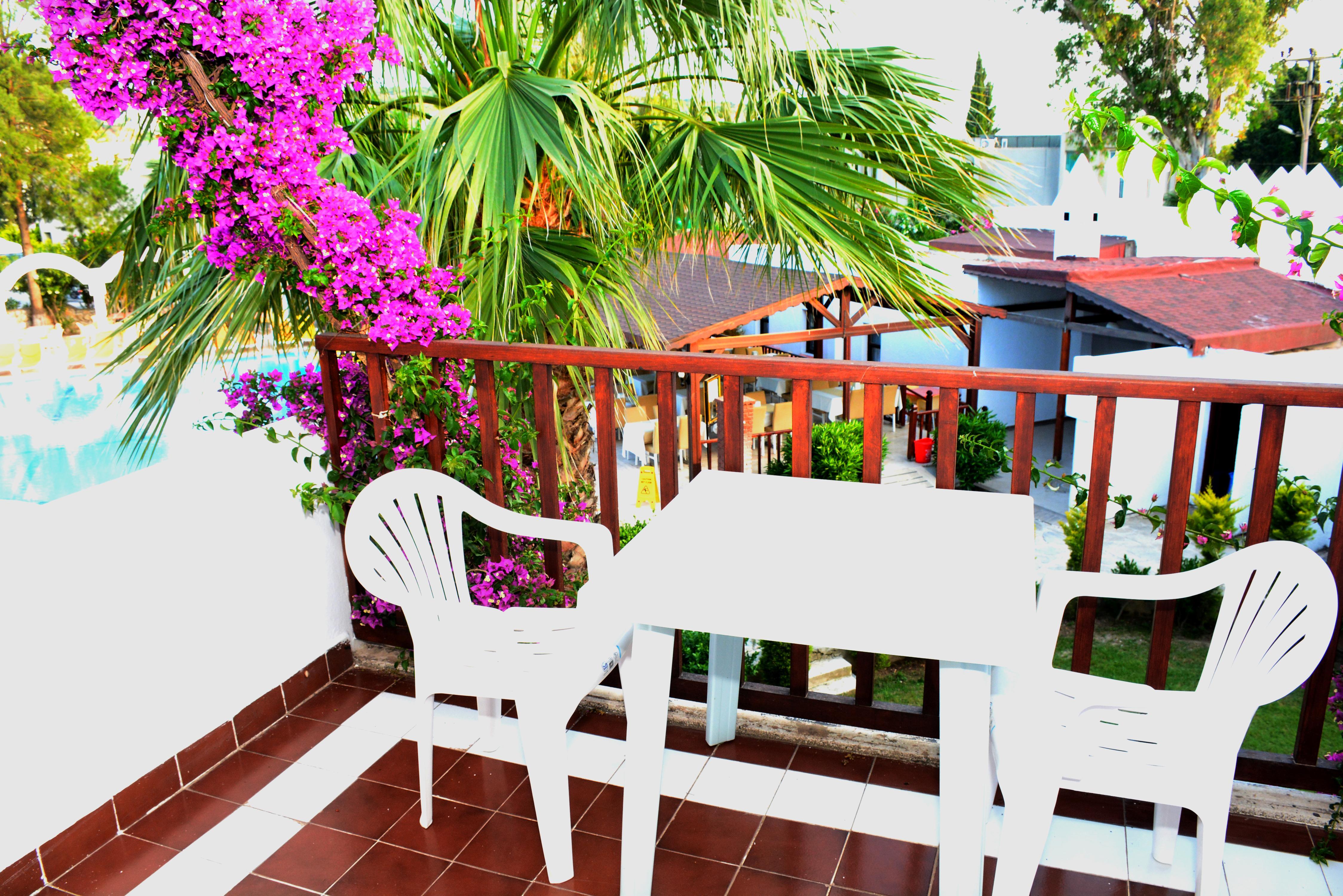 Garden Hotel 3*