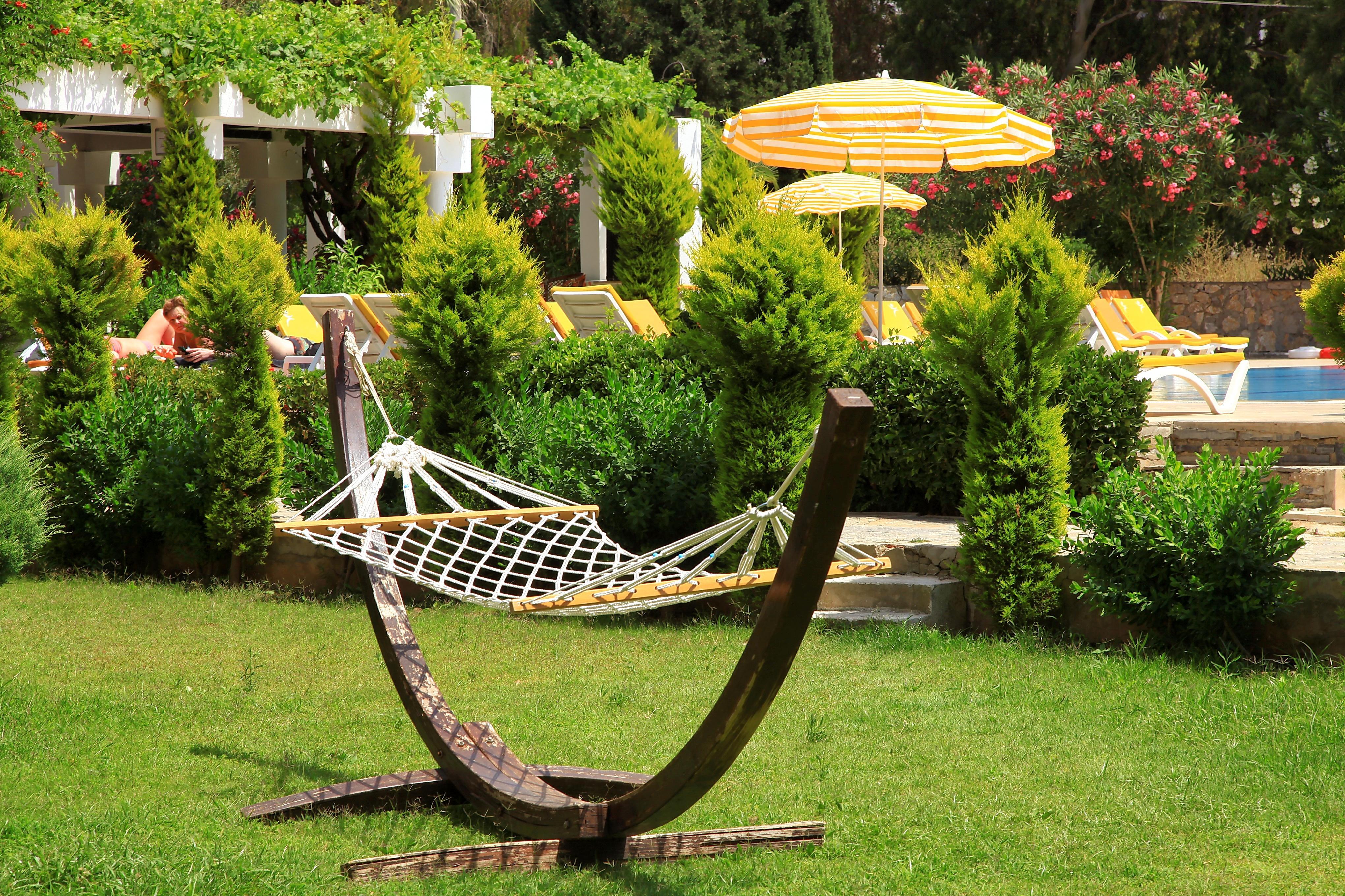 Garden Hotel 3*