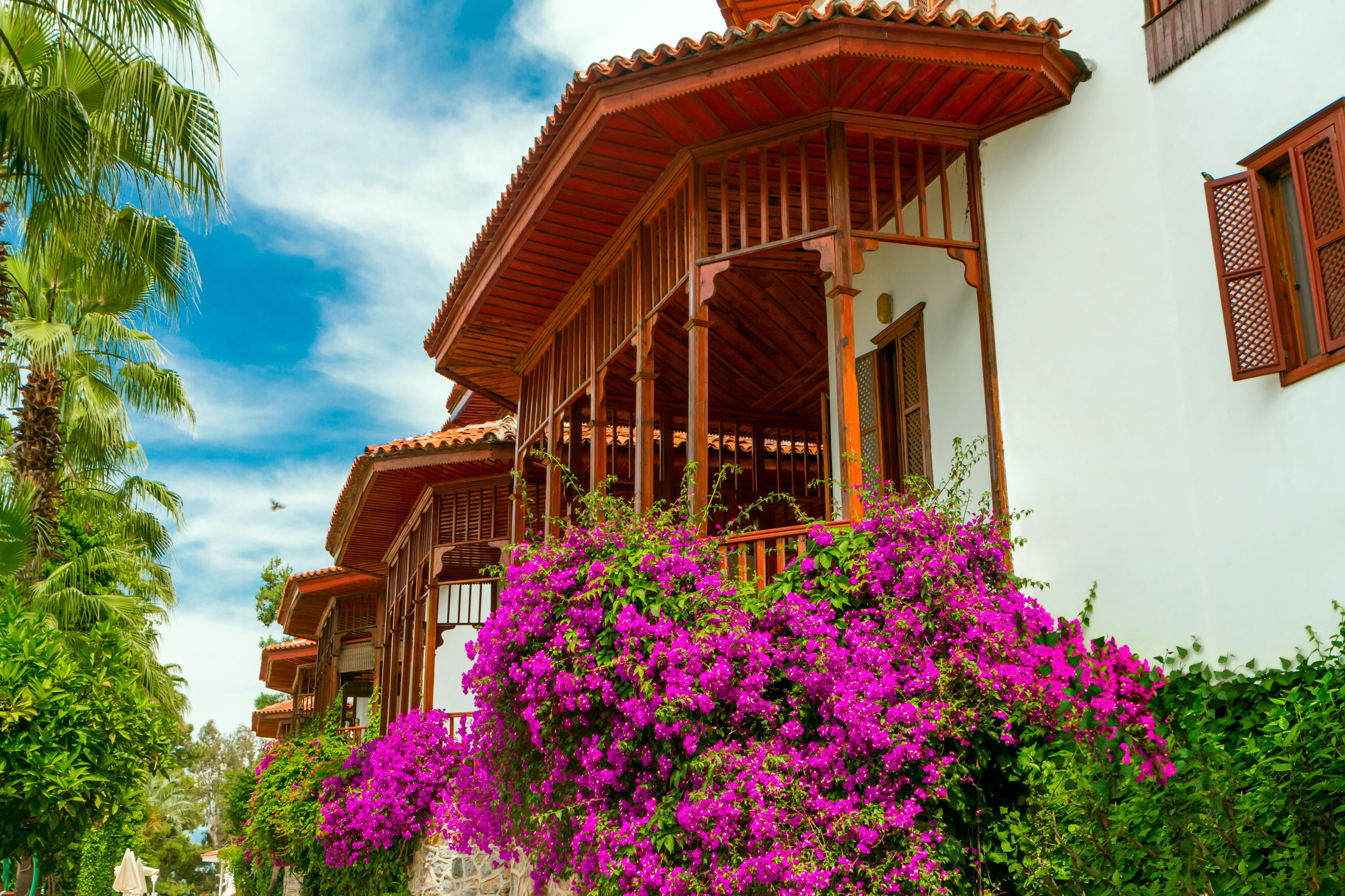 Resort Club & Letoonia