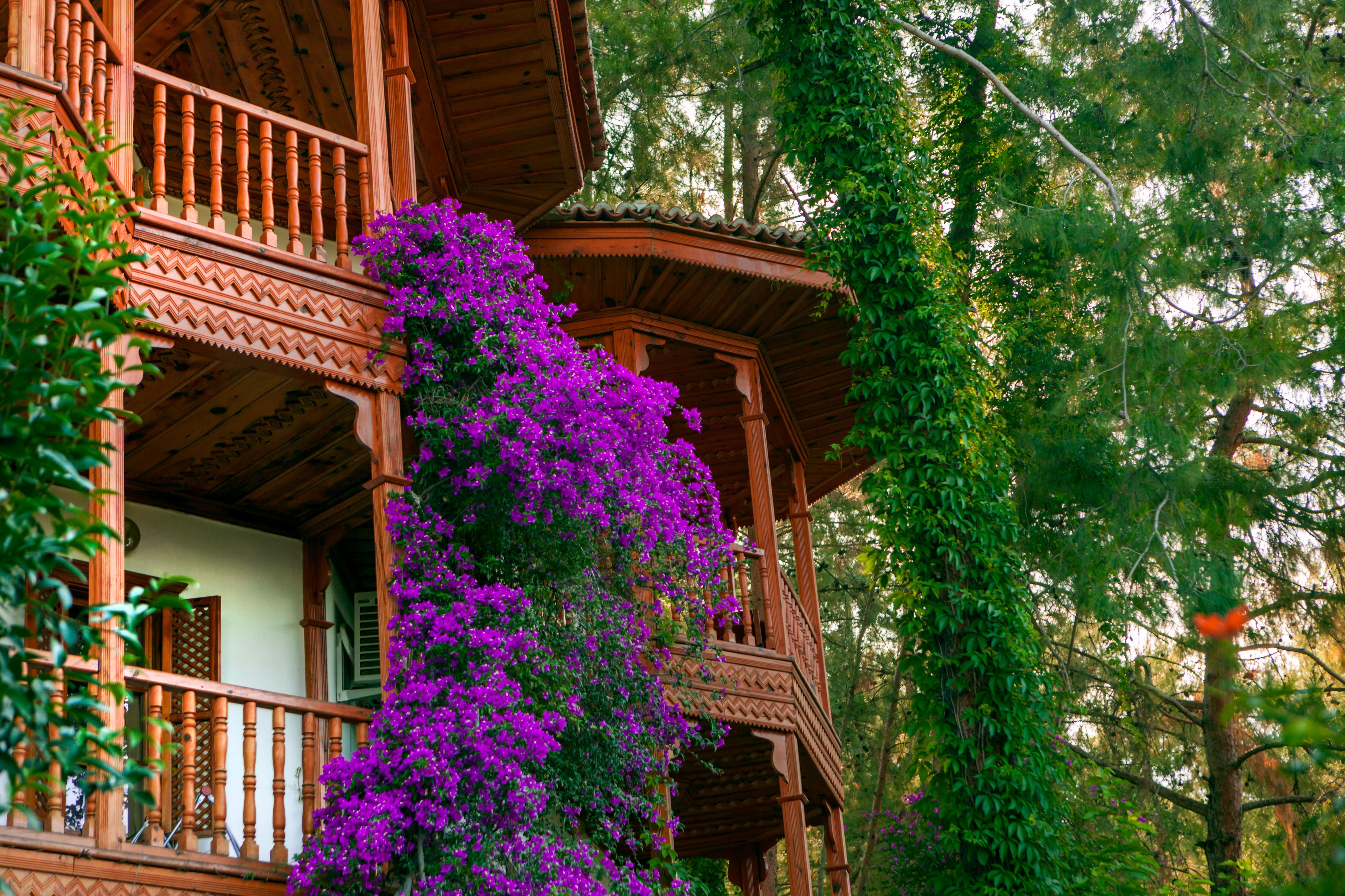 Resort Club & Letoonia 5*