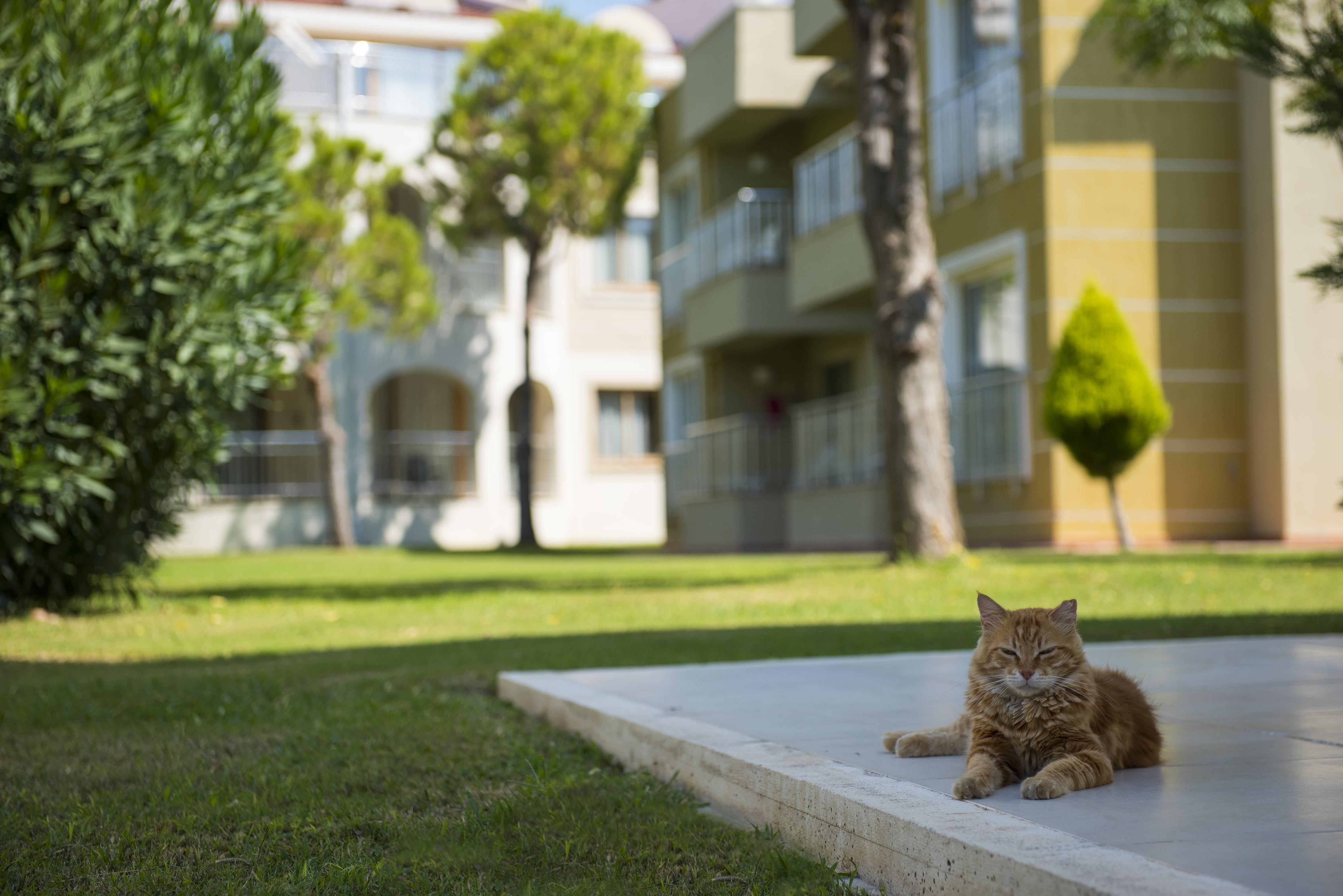 Resort Sentido Kamelya Fulya & Aqua 5*