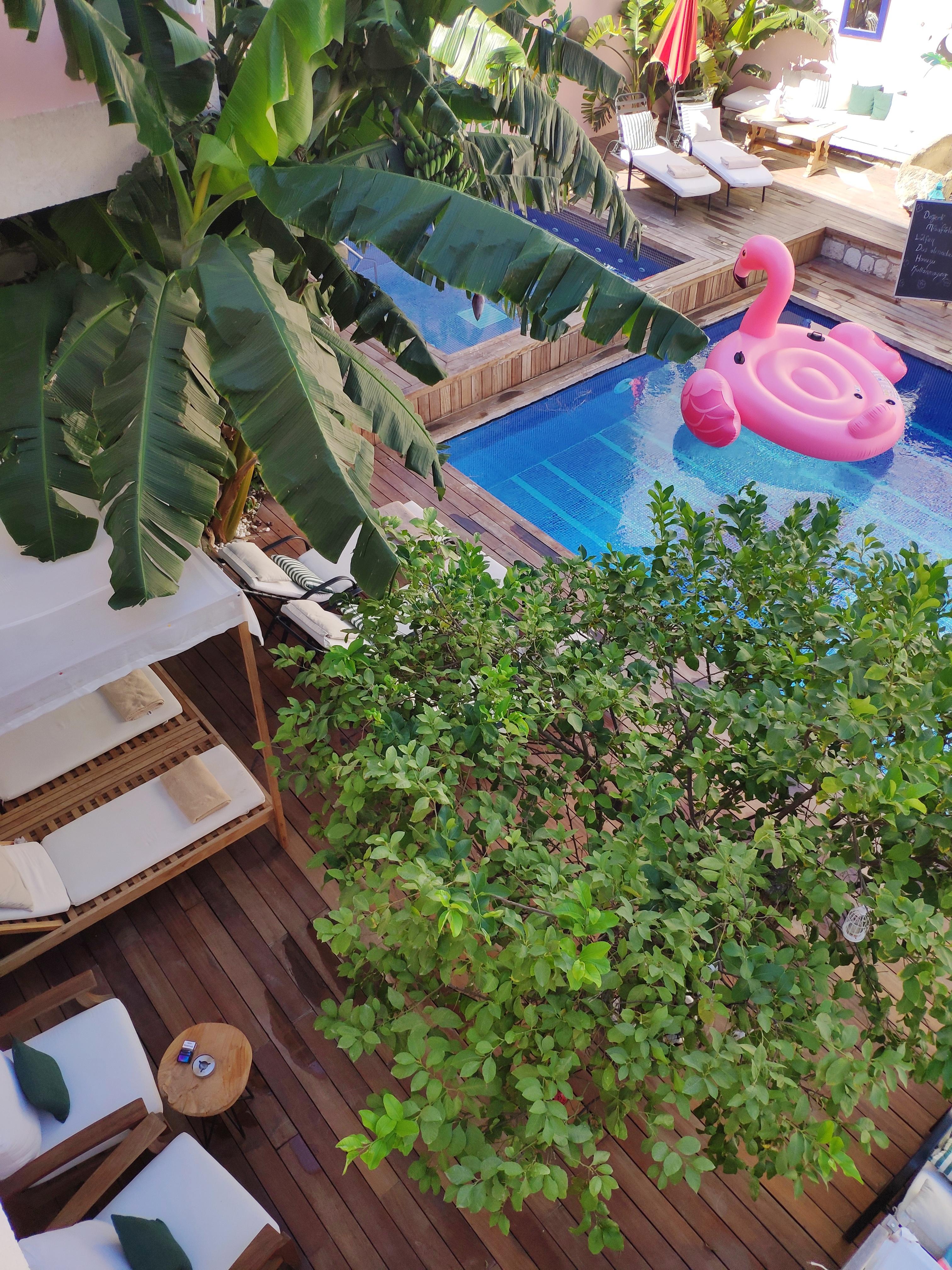 Viento (adults Only) Alacati