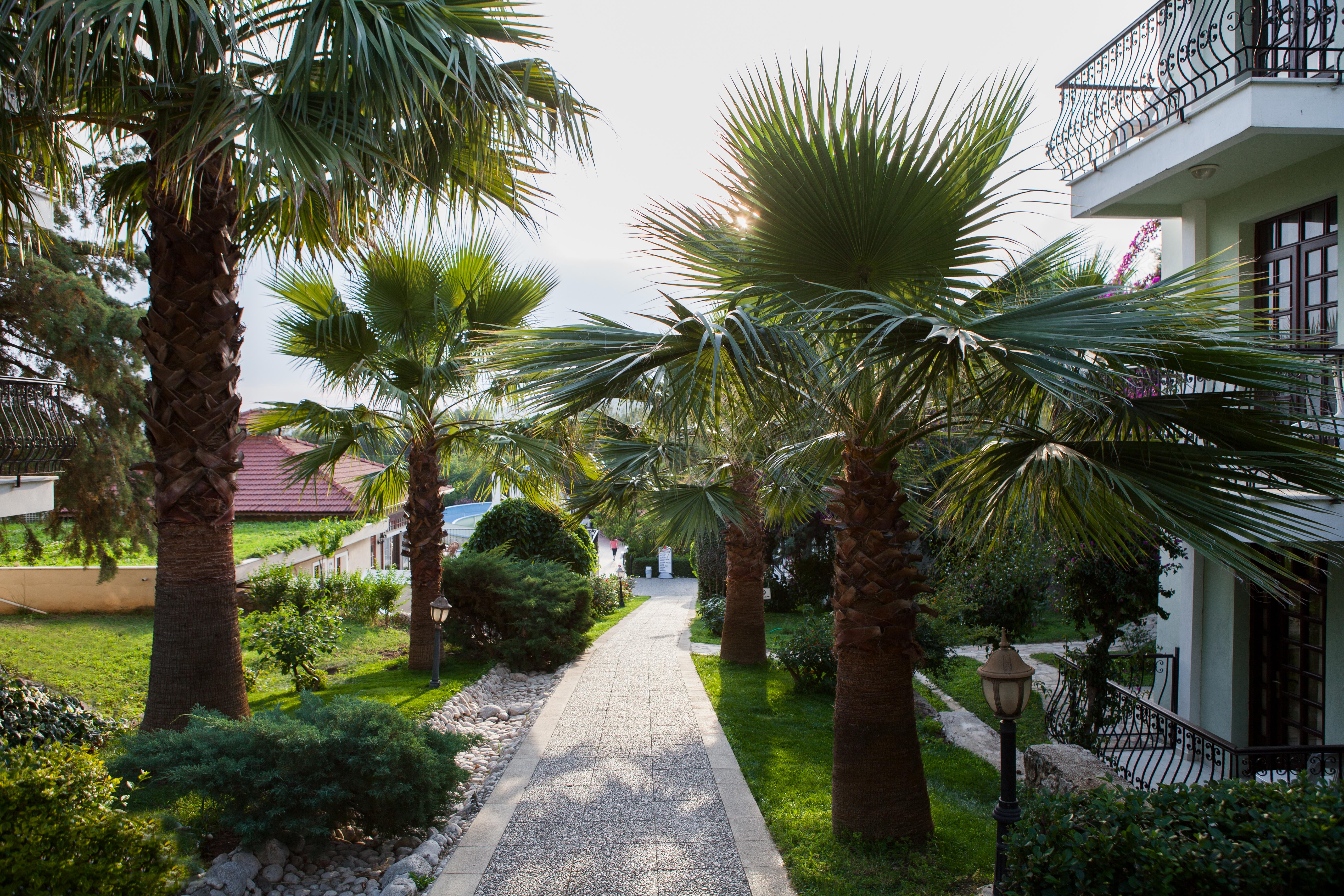 Greenland Hotel Oludeniz