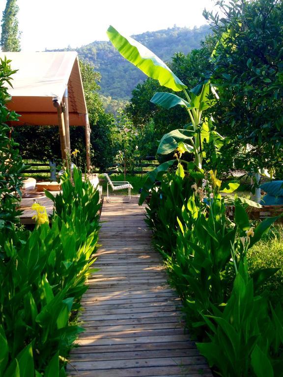 Campo Portakal Eco Glamping Luxury tent