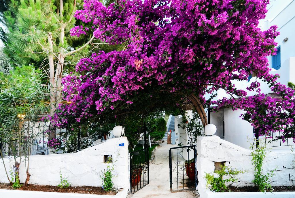 Misket Hotel Bodrum Gumusluk