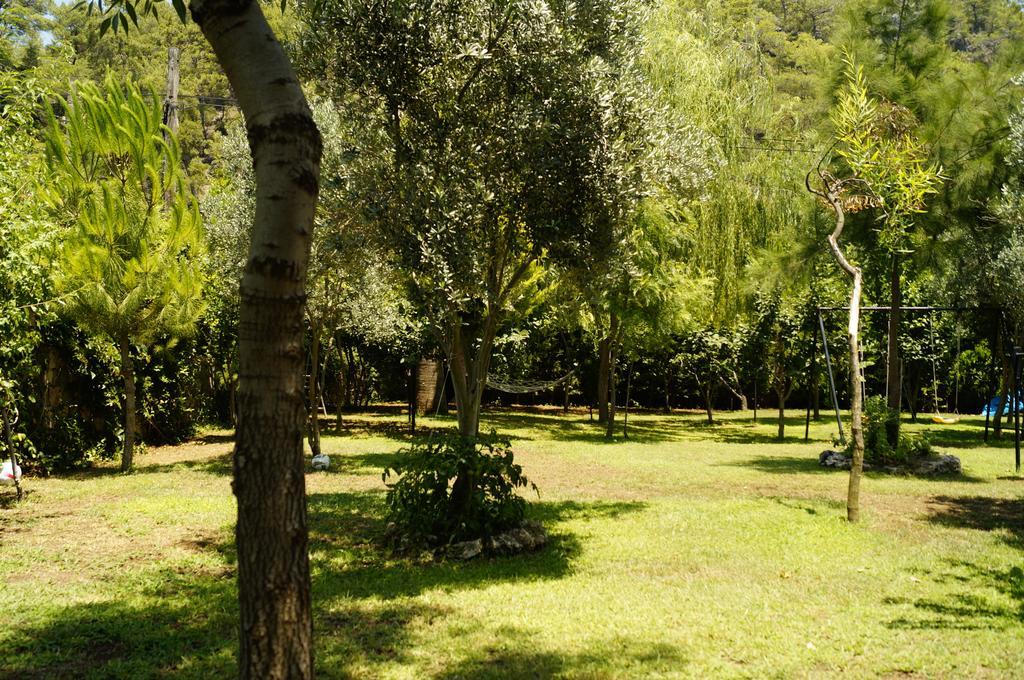 Hotel Dalos 2*
