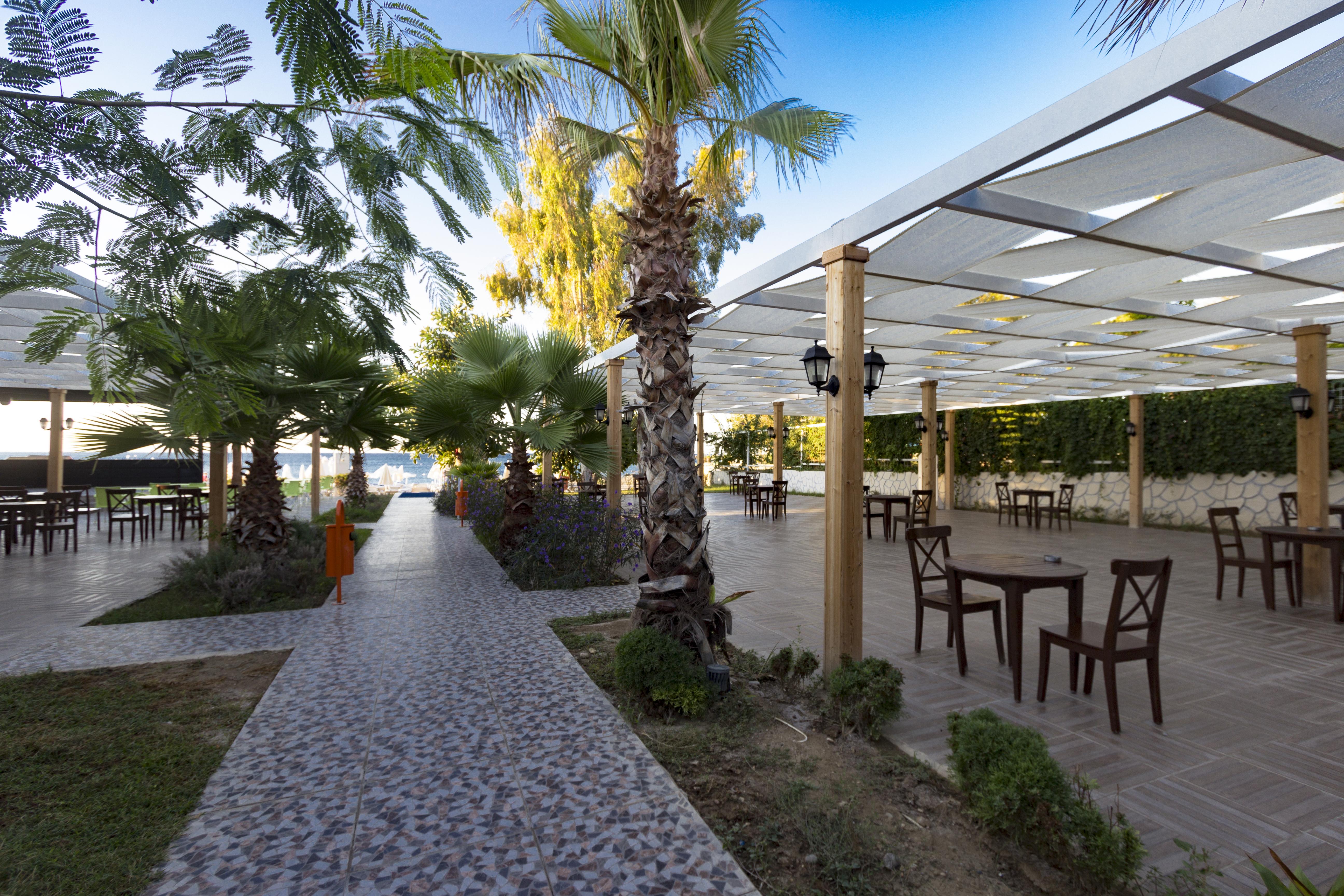 Maya World 3* Okurcalar