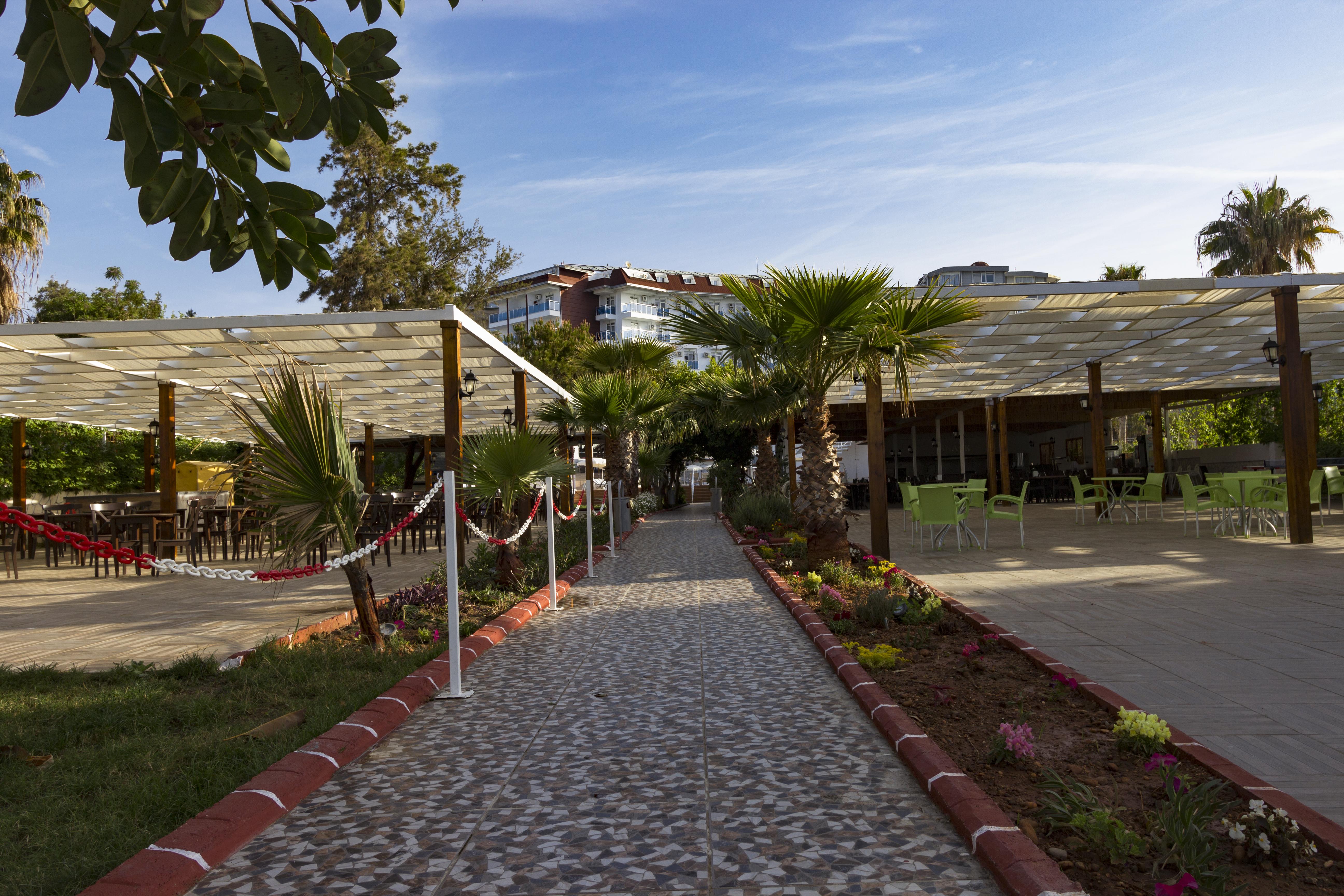 Maya World Okurcalar