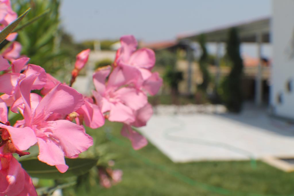 Bed & Breakfast Lapis Port Surf 2*