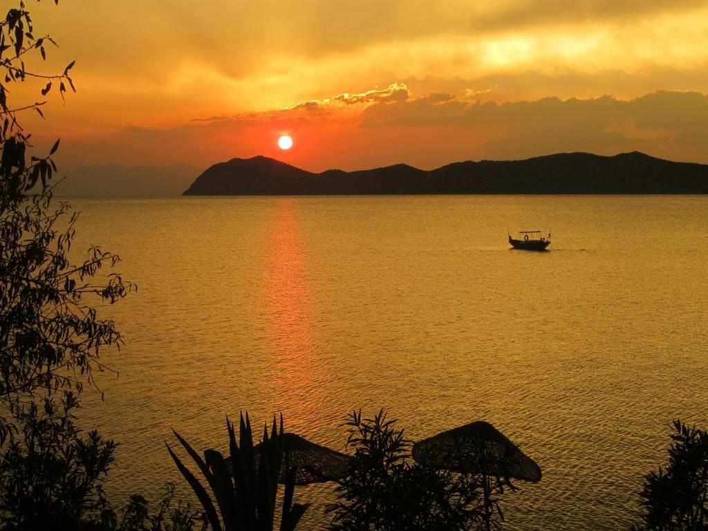 Saranda Guest house 2*