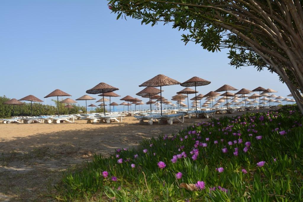 The Garden Konakli