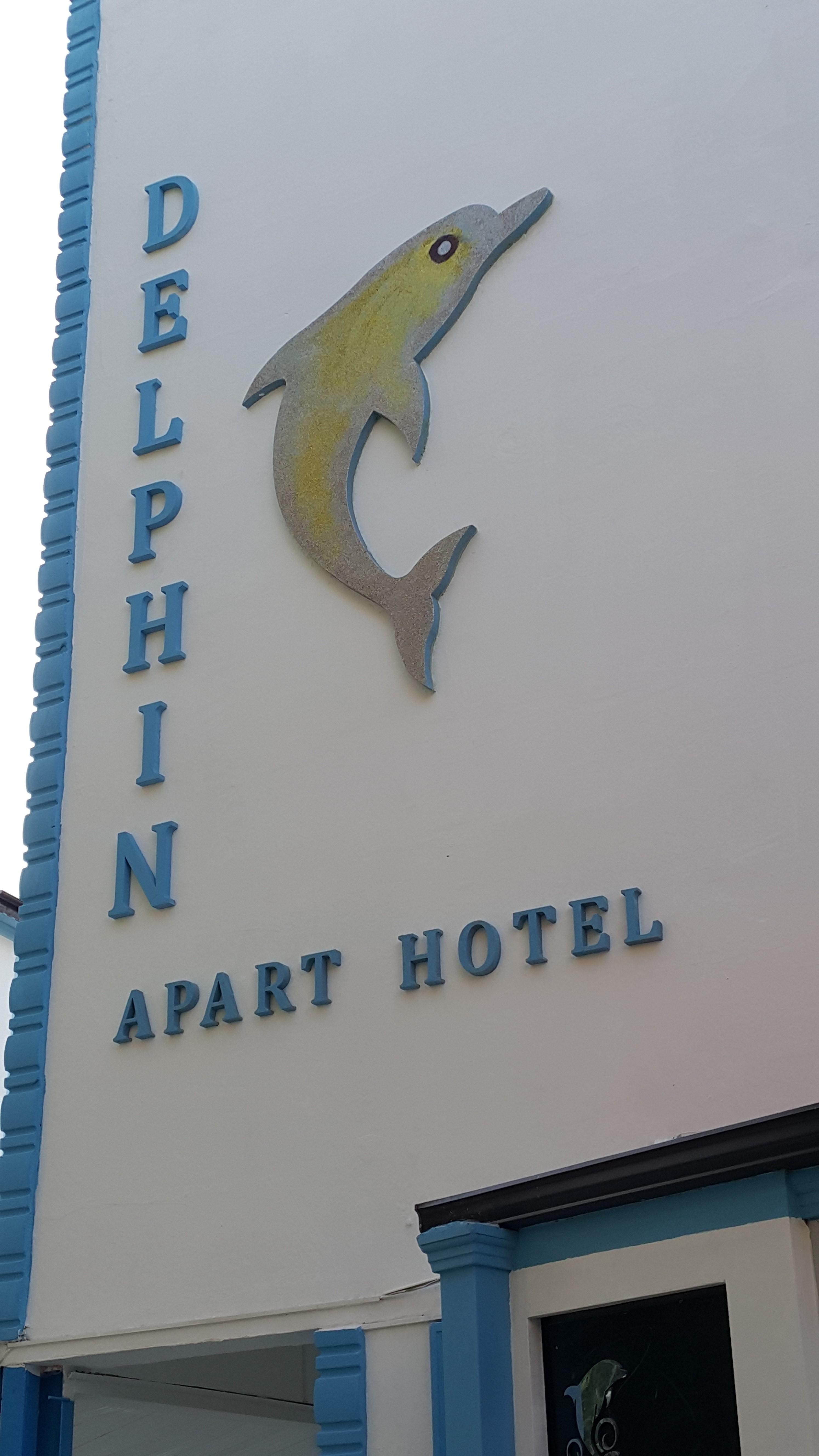 Delphin 2*