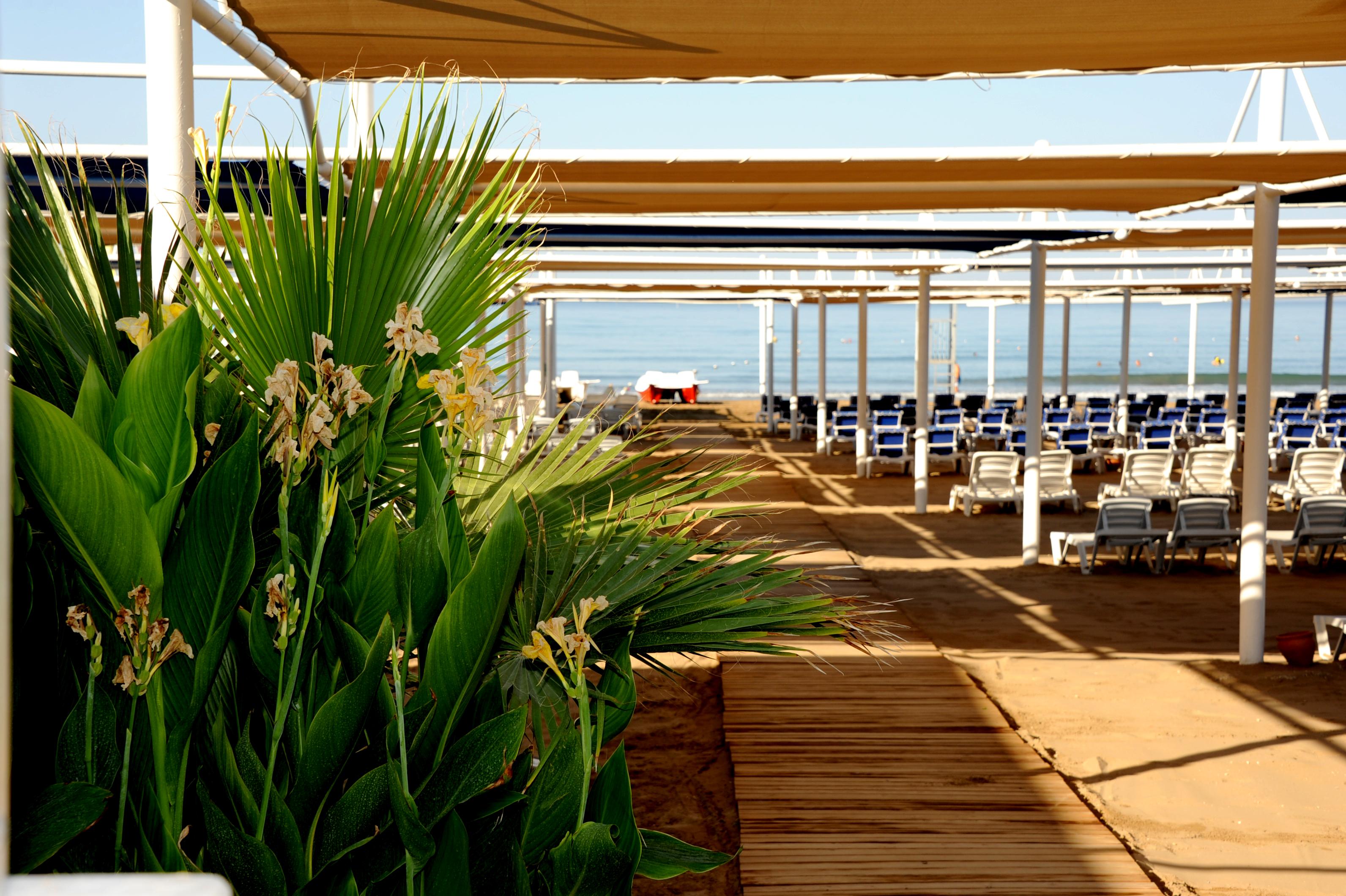 Hotel Dream World Hill 5*