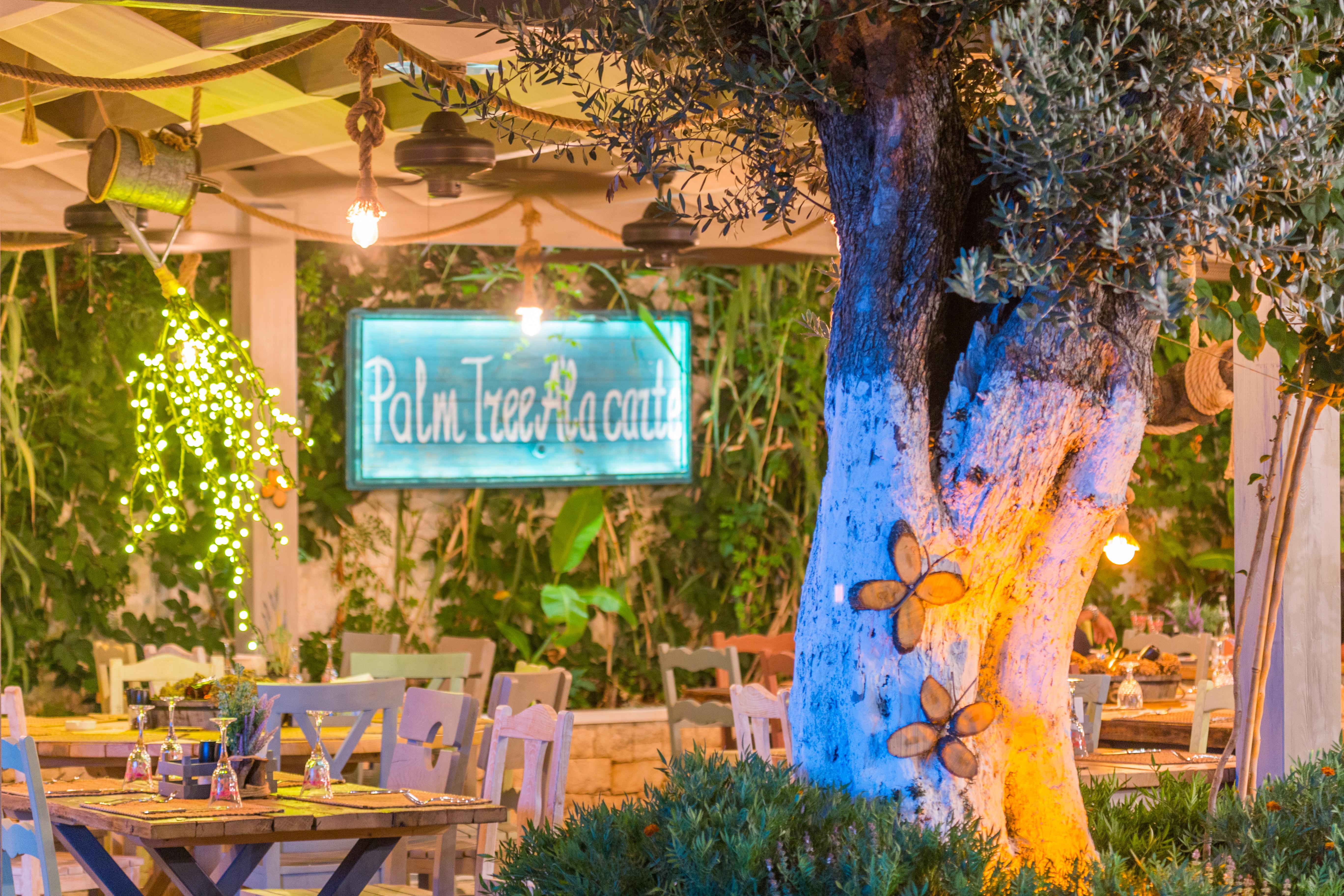 Flamingo & - Pet Friendly 3* Oludeniz