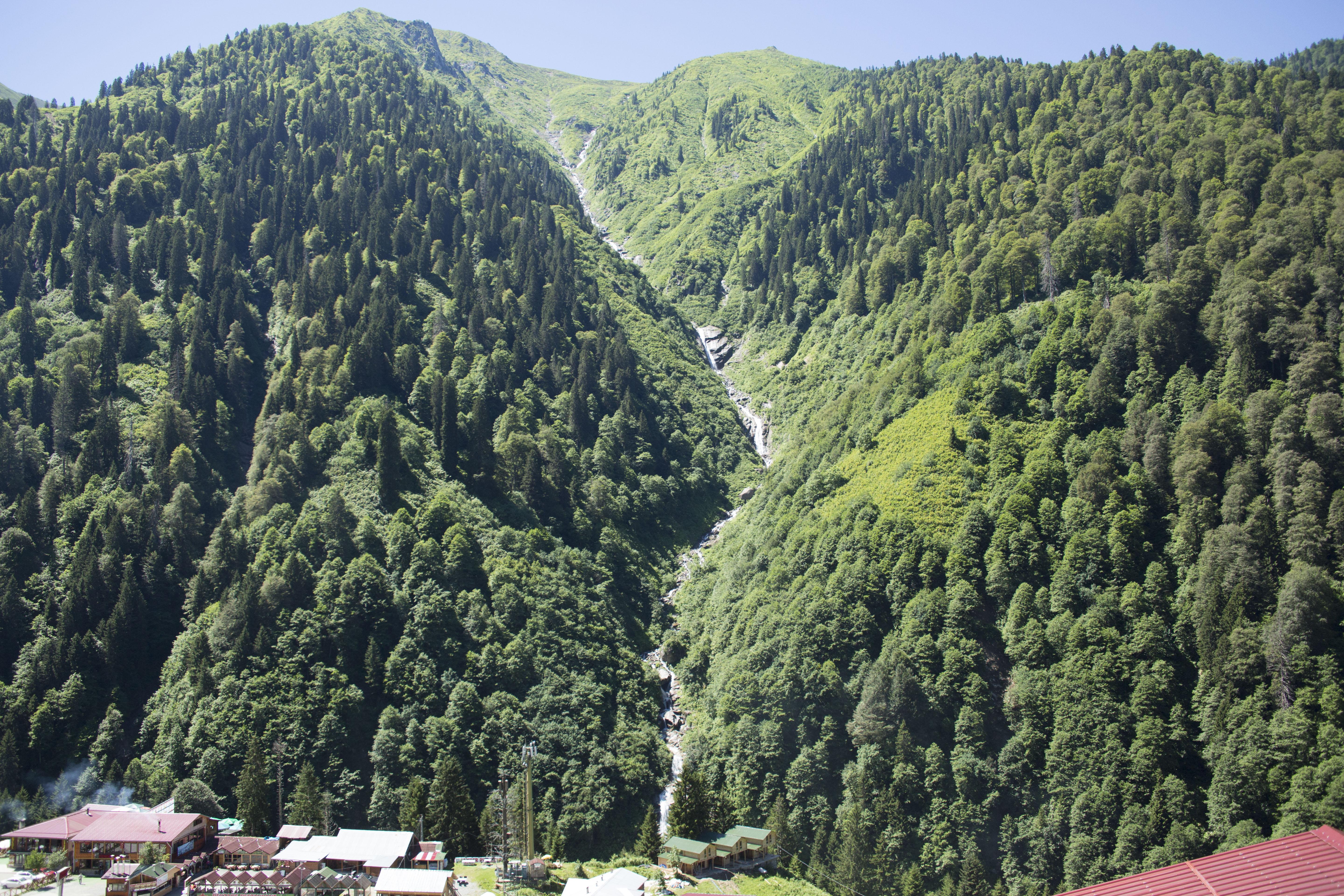 Hotel Doga