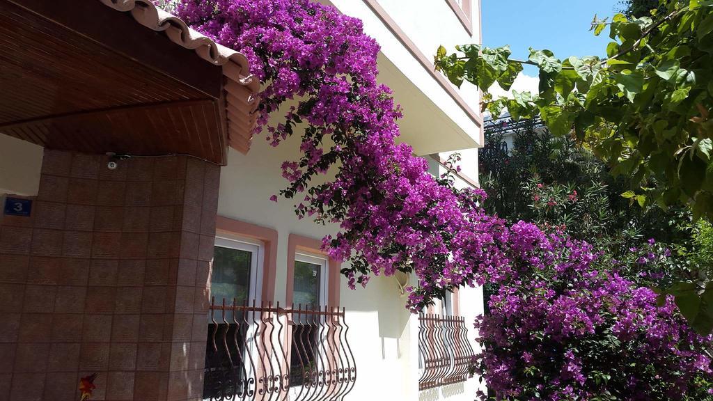 Seda Hotel