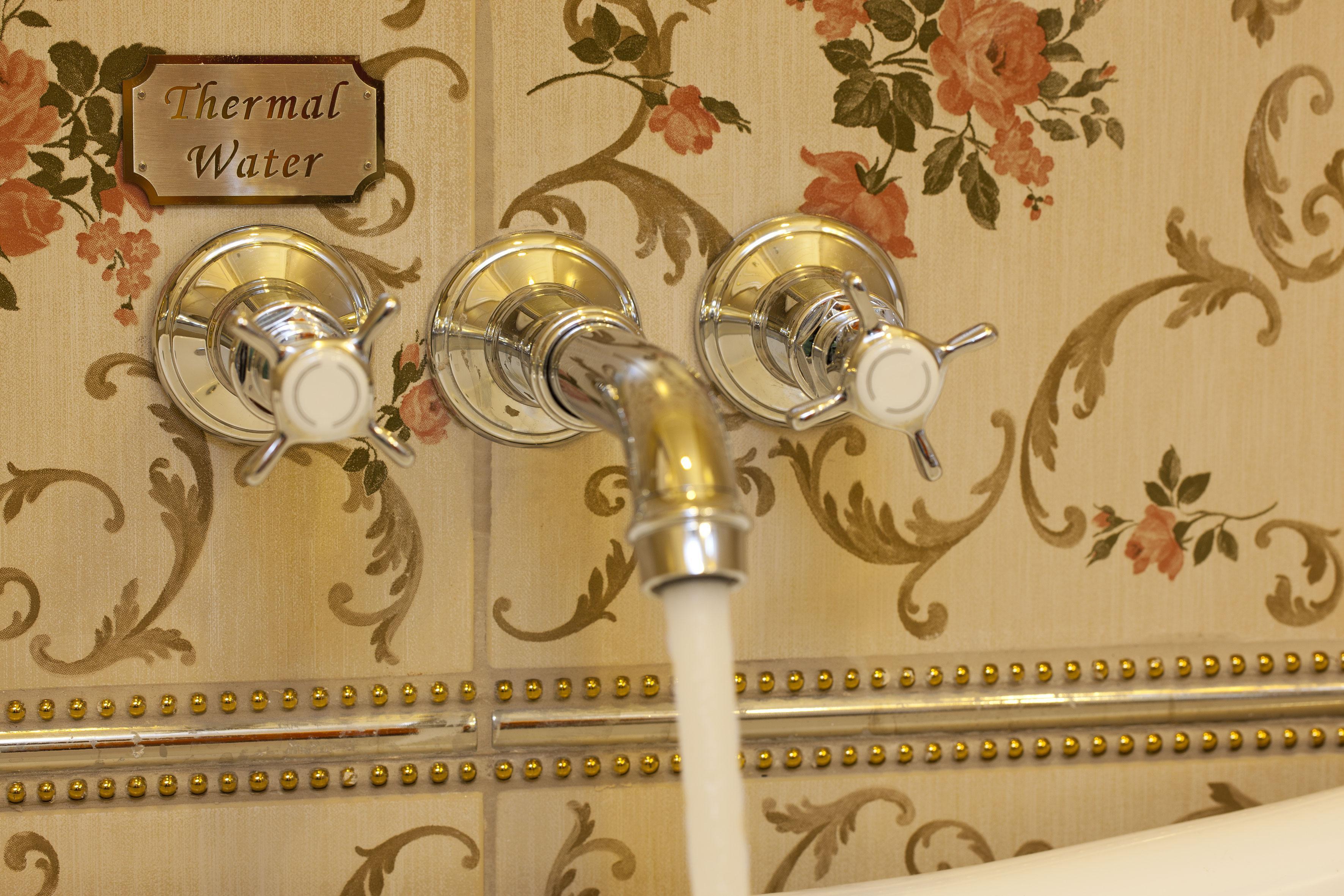 Limak Yalova Thermal Boutique Gokcedere