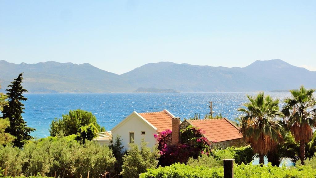 Yuksel Sogut (Aegean)