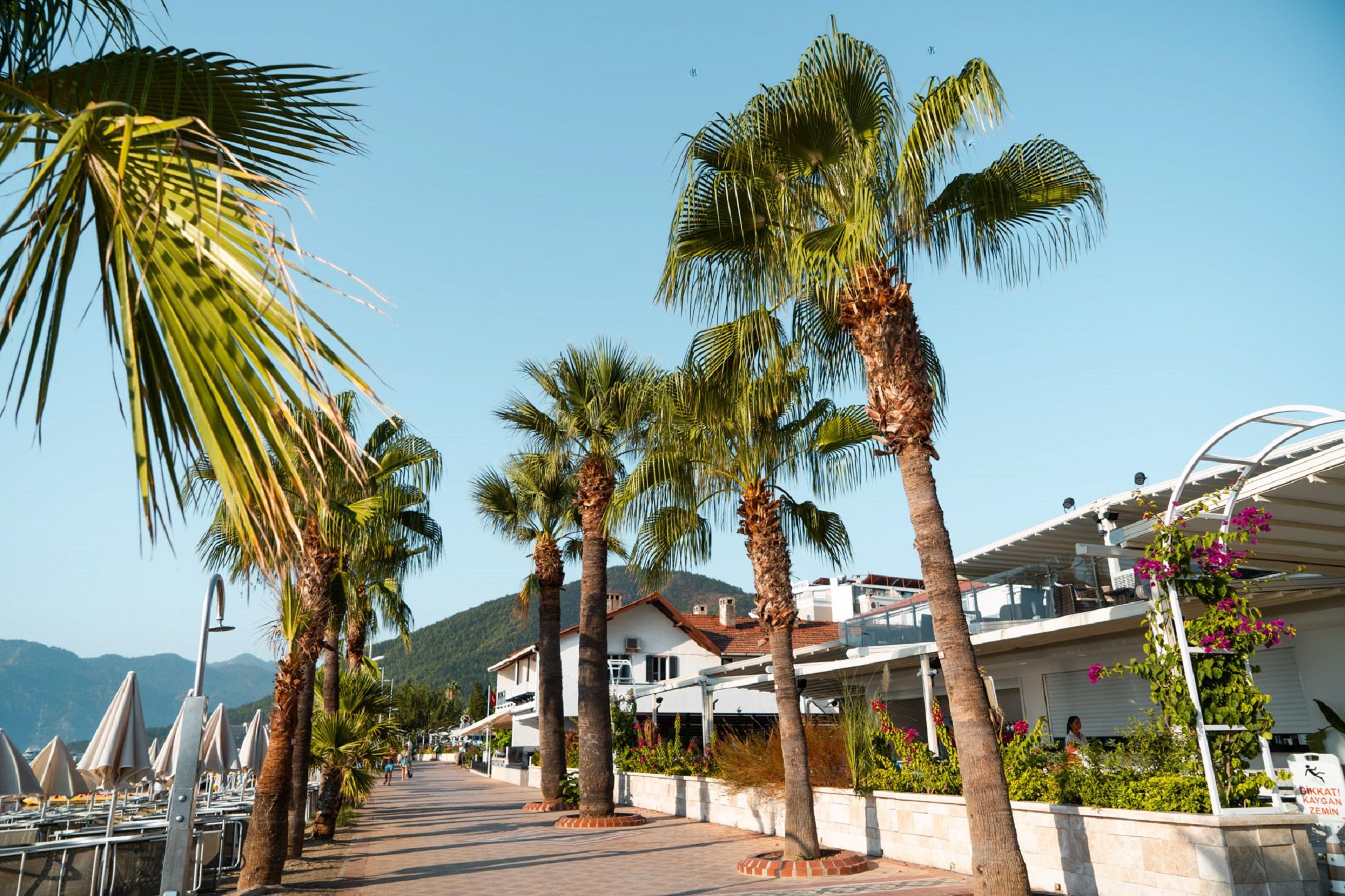 Hotel Emre Beach & Emre Hotel 4*