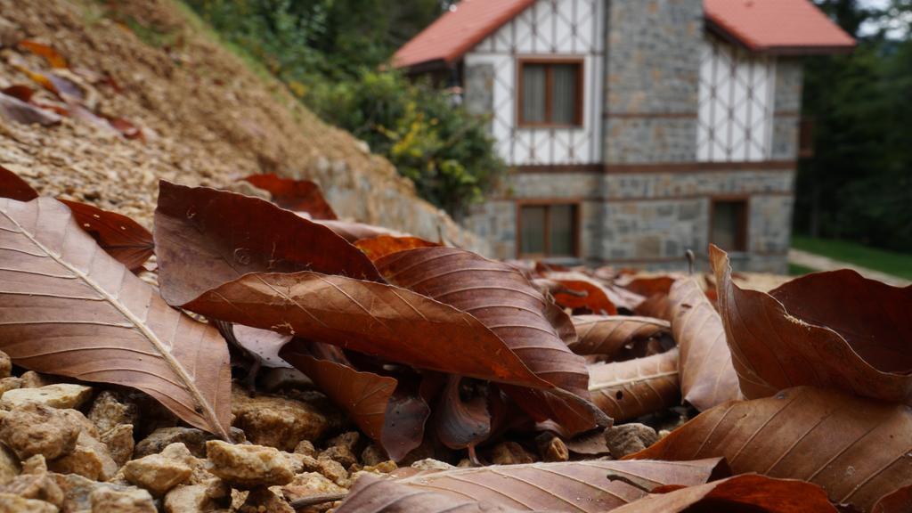 Foleya Mountain & 3* Trabzon