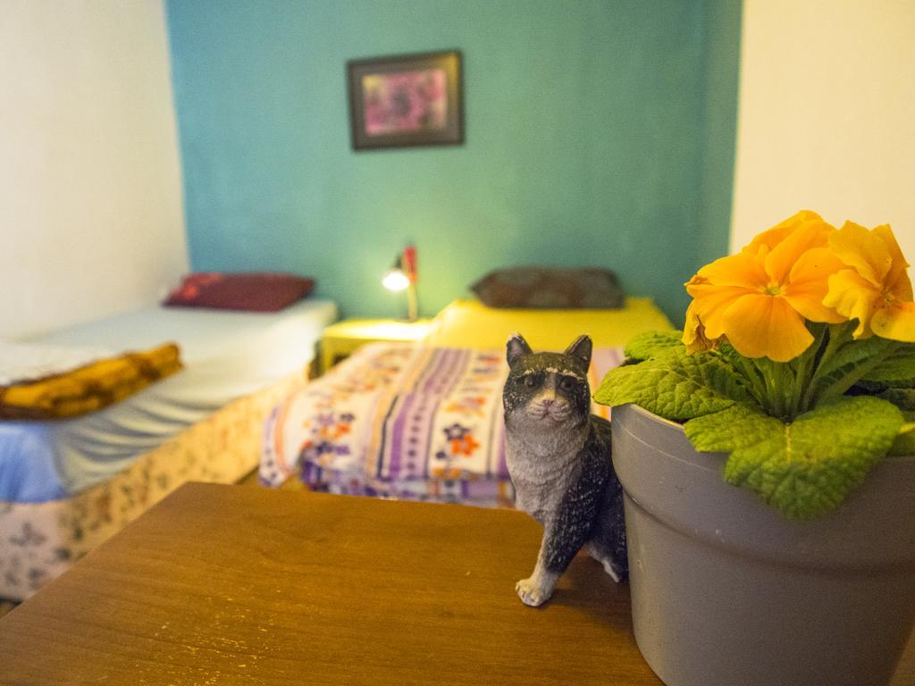 Hostel Shantihome
