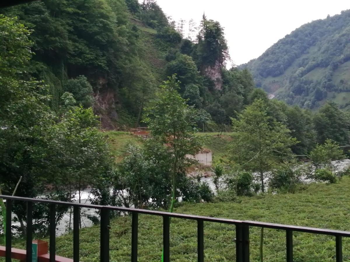Resort Vagona Tiny House Rize