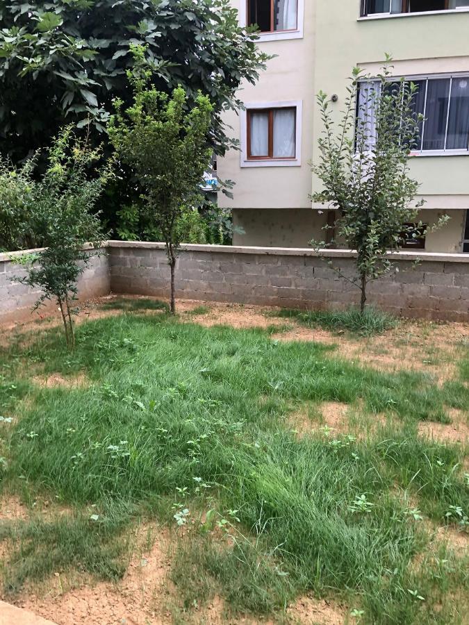 Misho Trabzon