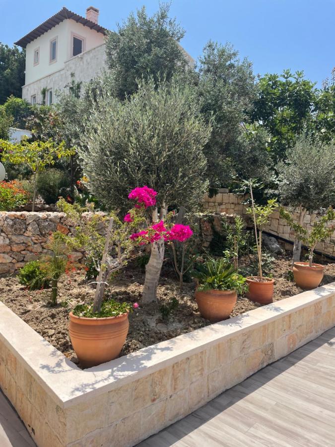 Xanthos Villa *