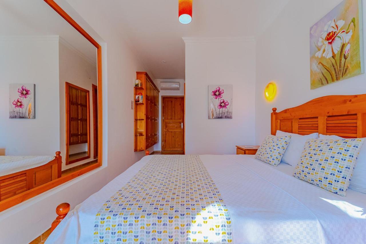 Turkuaz Kalkan