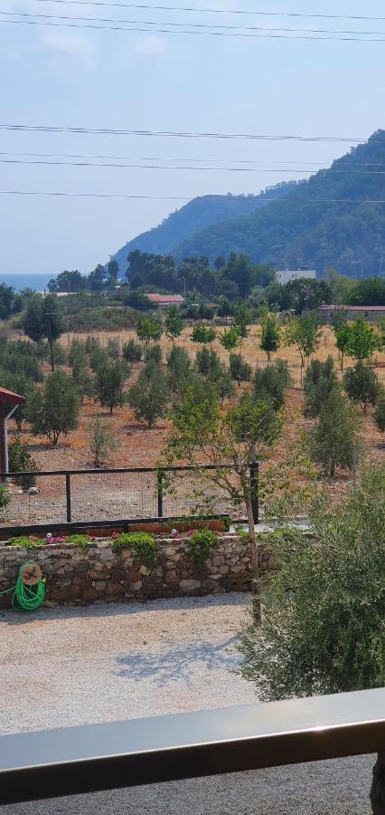 Olive Tree Aparthotel Mugla
