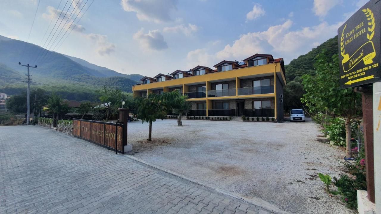 Olive Tree Mugla