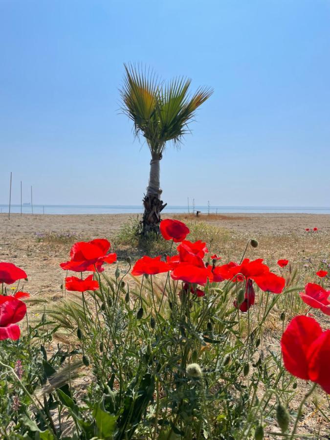 Nova Port Boutique * Tekirdag