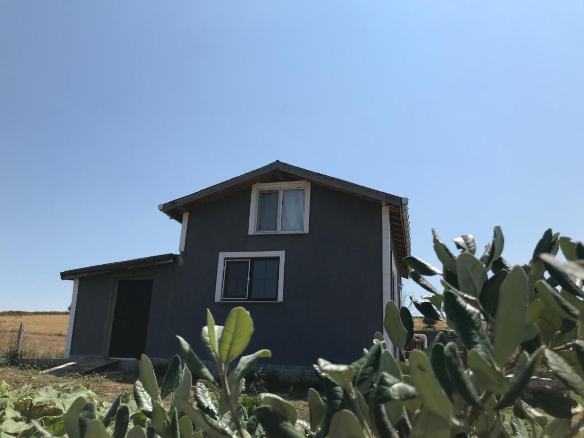 Kublay's Holiday home