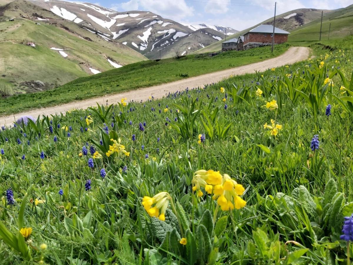 Alya Teras Hotel Trabzon
