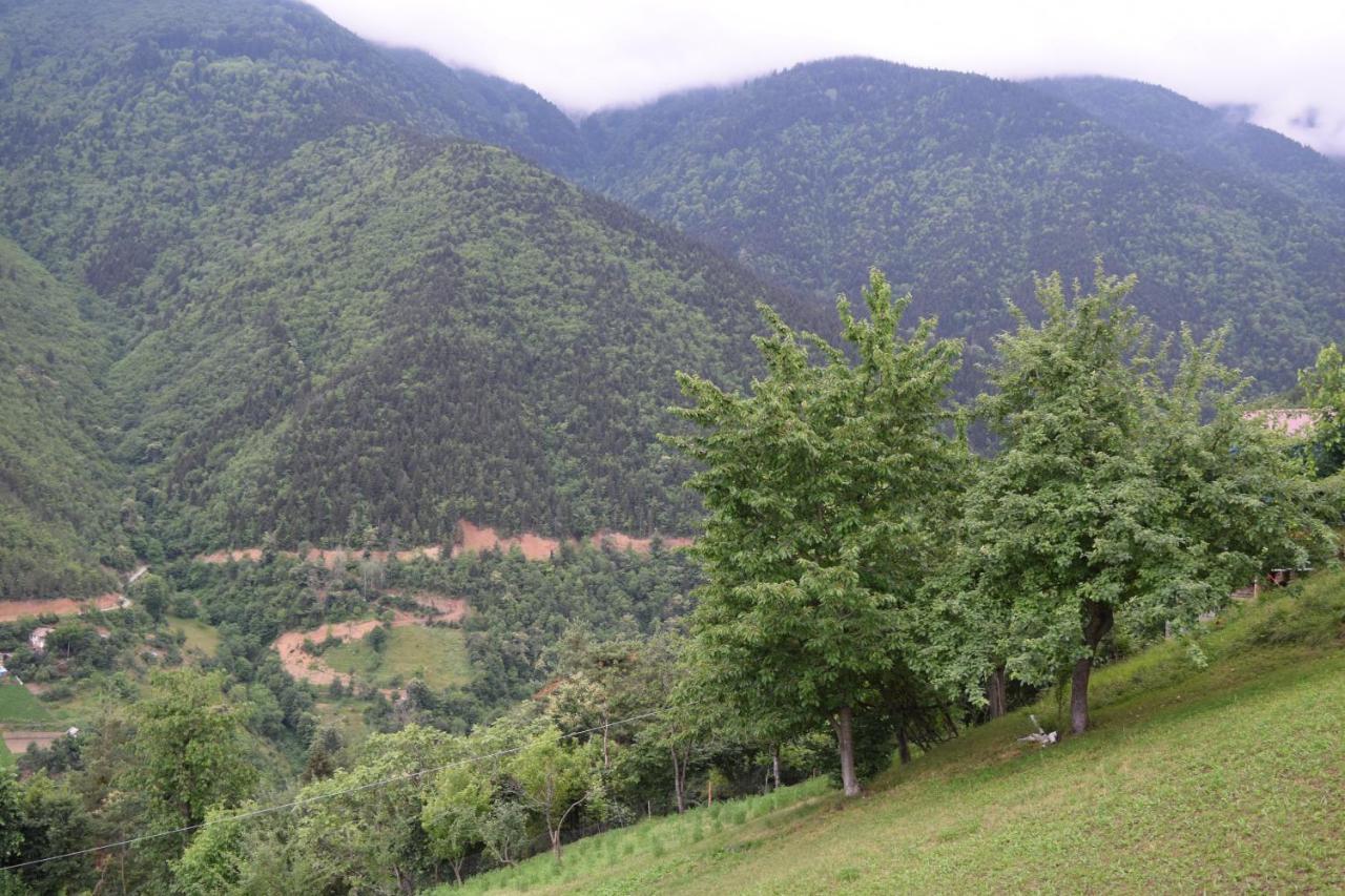 Mars Hotel Artvin