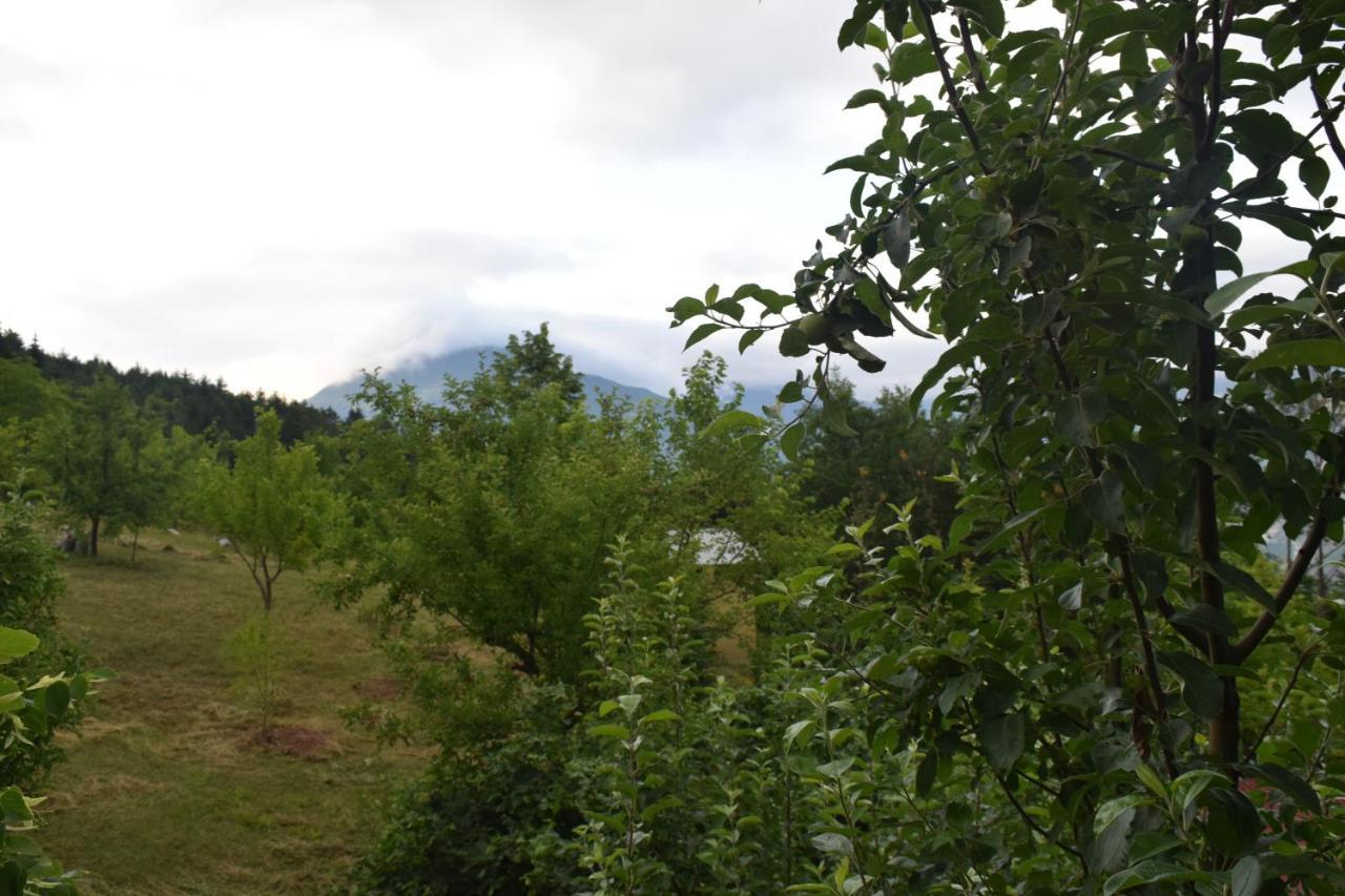 Mars Hotel Artvin