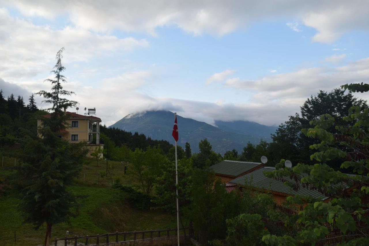 Hotel Mars Artvin