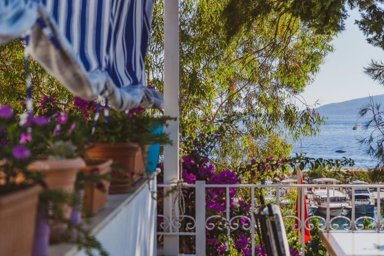 Turkuaz Homestay *