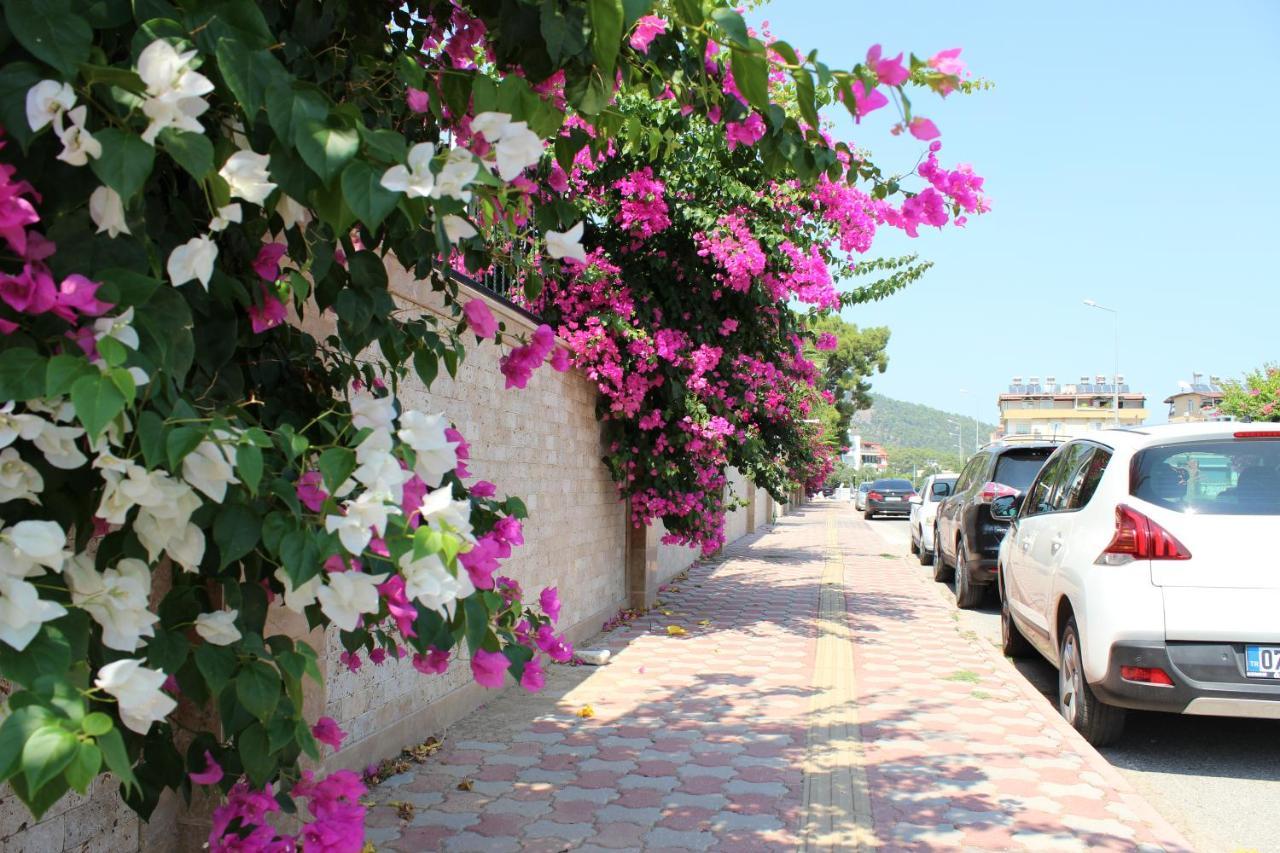 Tebriz * Kemer