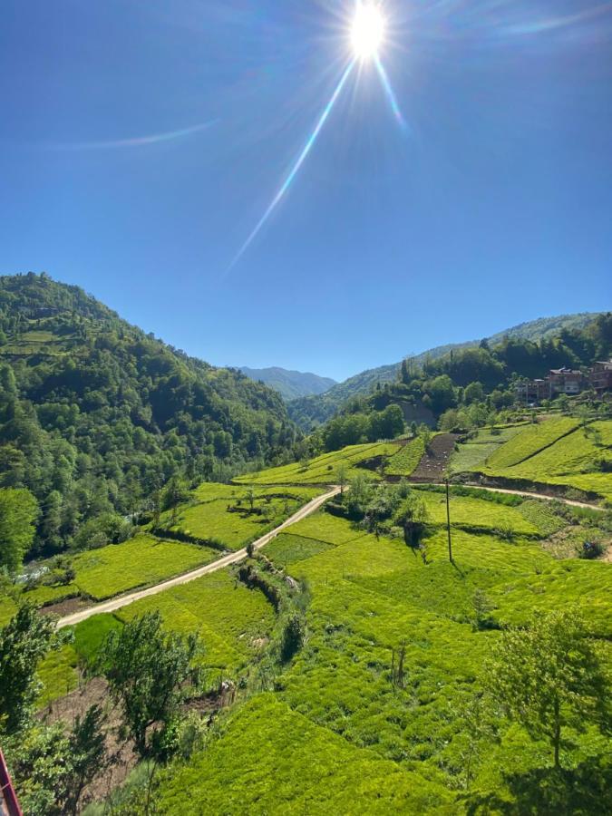 Huervadi Rize