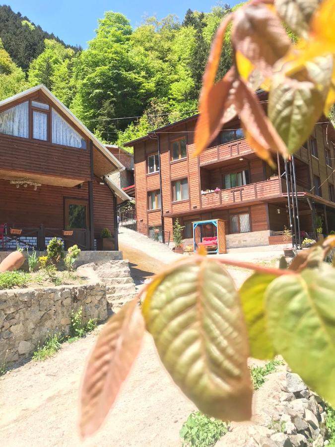 Sen Butik Ve * Uzungol
