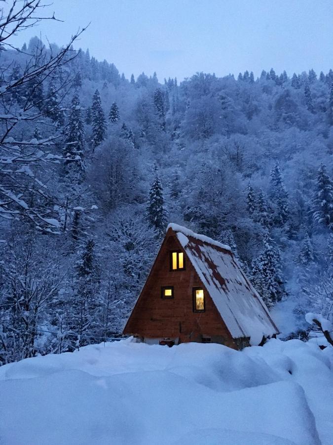 Bed & Breakfast Mountain House - Cayeli